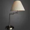 Декоративная настольная лампа Arte Lamp CALIFORNIA A2872LT-1SS