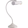 Офисная настольная лампа Arte Lamp PICTURE LIGHTS BASIC A5023LT-1WG