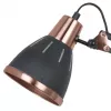 Офисная настольная лампа Arte Lamp PIXAR A2246LT-1BK