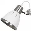 Офисная настольная лампа Arte Lamp PIXAR A2246LT-1WH