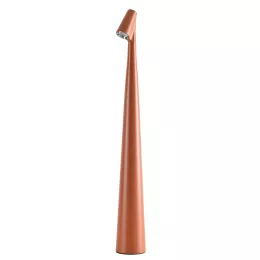Декоративная настольная лампа Arte Lamp FUSION A3283LT-2BR
