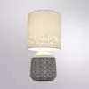Декоративная настольная лампа Arte Lamp BUNDA A4007LT-1GY