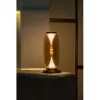 Декоративная настольная лампа Divinare STERZO 1244/17 TL-20