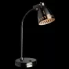 Офисная настольная лампа Arte Lamp LUNED A2214LT-1SS
