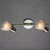 Спот Arte Lamp PARRY A5062AP-2SS