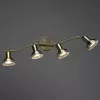 Спот Arte Lamp FOCUS A5219PL-4AB