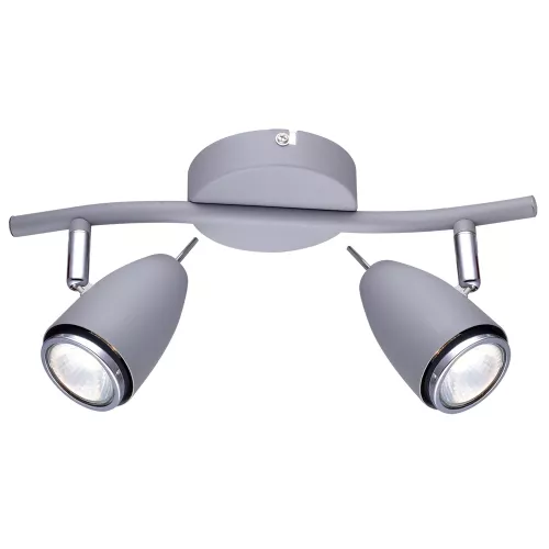 Спот Arte Lamp REGISTA A1966AP-2GY