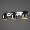 Спот Arte Lamp CAMPANA A9557AP-3CC