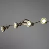 Спот Arte Lamp FOCUS A5219PL-4BR