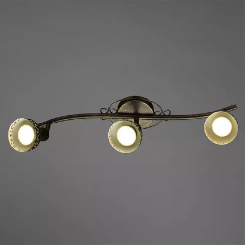 Спот Arte Lamp FOCUS A5219PL-3BR