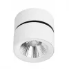 Спот Divinare URCHIN 1295/03 PL-1
