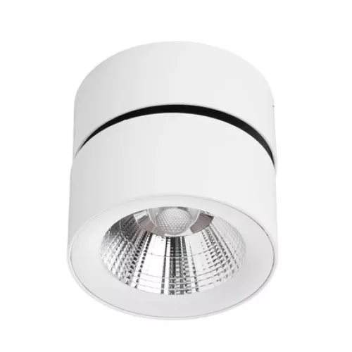 Спот Divinare URCHIN 1295/03 PL-1