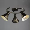 Спот Arte Lamp CONO A5218PL-3BR