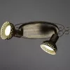 Спот Arte Lamp FOCUS A5219AP-2BR