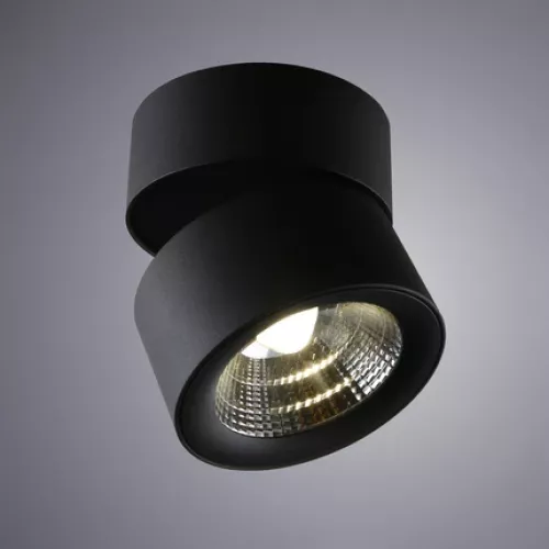 Спот Divinare URCHIN 1295/04 PL-1