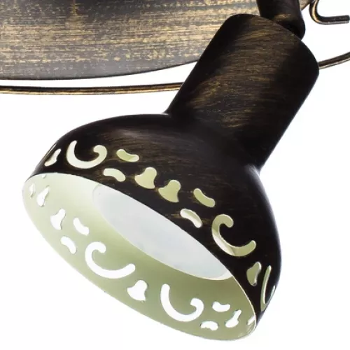 Спот Arte Lamp FOCUS A5219AP-2BR