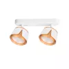 Спот Arte Lamp AMAKS A8028PL-2WH