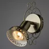 Спот Arte Lamp FOCUS A5219AP-1BR