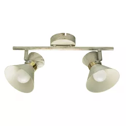 Спот Arte Lamp BALTIMORE A1406AP-2WG