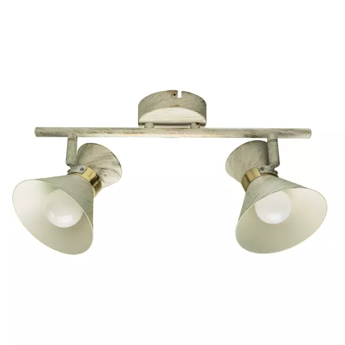 Спот Arte Lamp BALTIMORE A1406AP-2WG