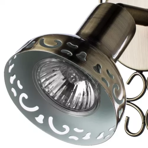 Спот Arte Lamp FOCUS A5219AP-1BR