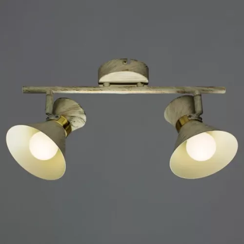 Спот Arte Lamp BALTIMORE A1406AP-2WG