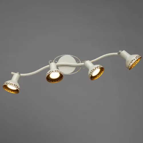 Спот Arte Lamp FOCUS A5219PL-4WG