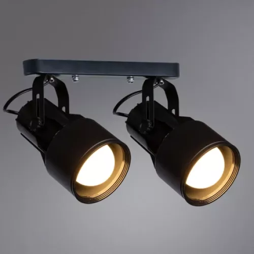 Спот Arte Lamp LYRA A6252PL-2BK