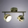 Спот Arte Lamp VENERD A6009PL-2AB
