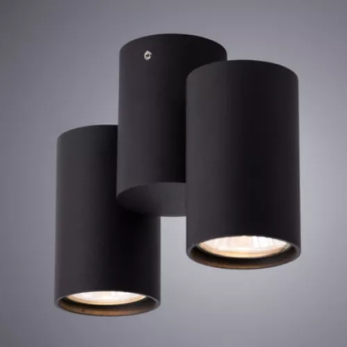 Спот Arte Lamp GAVROCHE A1511PL-2BK