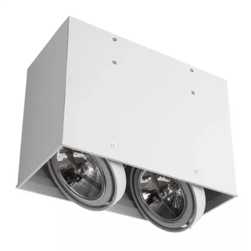 Точечный накладной светильник Arte Lamp CARDANI GRANDE A5936PL-2WH