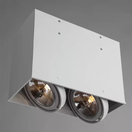 Точечный накладной светильник Arte Lamp CARDANI GRANDE A5936PL-2WH