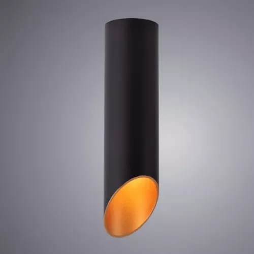 Точечный накладной светильник Arte Lamp PILON-GOLD A1535PL-1BK