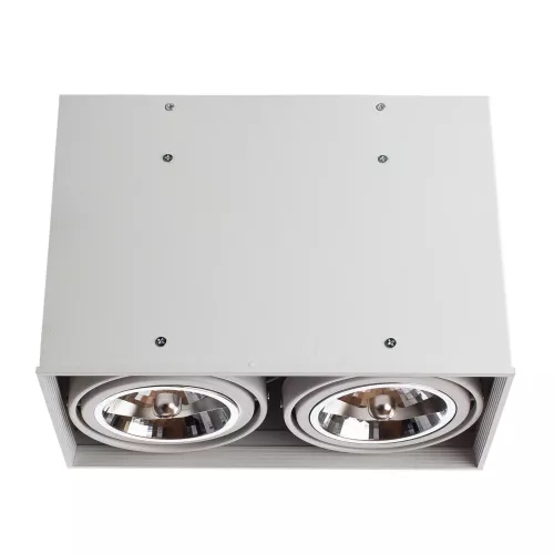 Точечный накладной светильник Arte Lamp CARDANI GRANDE A5936PL-2WH