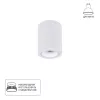 Точечный накладной светильник Arte Lamp IMAI A2267PL-1WH