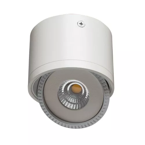 Точечный накладной светильник Arte Lamp STUDIO A4105PL-1WH