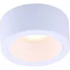 Точечный накладной светильник Arte Lamp EFFETTO A5553PL-1WH