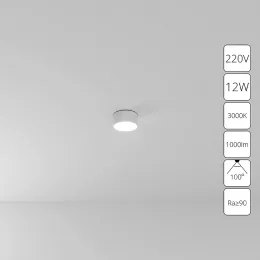 Потолочный светильник Arte Lamp FADO A7312PL-1WH