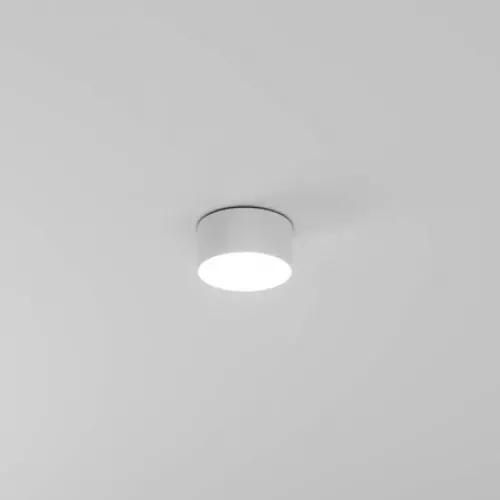 Потолочный светильник Arte Lamp FADO A7312PL-1WH