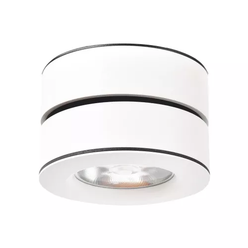 Точечный накладной светильник Arte Lamp VELA A2511PL-1WH