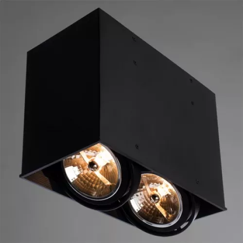 Точечный накладной светильник Arte Lamp CARDANI GRANDE A5936PL-2BK