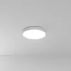 Потолочный светильник Arte Lamp FADO A7350PL-1WH