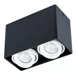 Точечный накладной светильник Arte Lamp PICTOR A5655PL-2BK