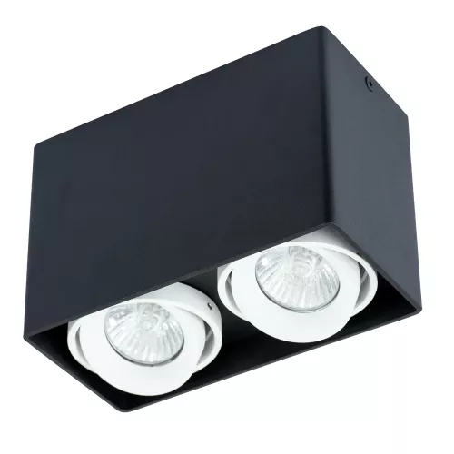 Точечный накладной светильник Arte Lamp PICTOR A5655PL-2BK