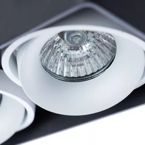 Точечный накладной светильник Arte Lamp PICTOR A5654PL-2BK