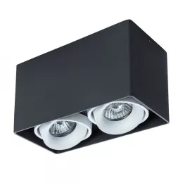 Точечный накладной светильник Arte Lamp PICTOR A5654PL-2BK