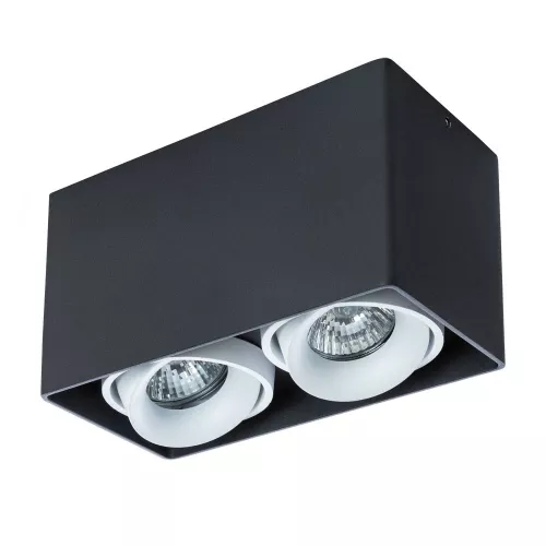 Точечный накладной светильник Arte Lamp PICTOR A5654PL-2BK