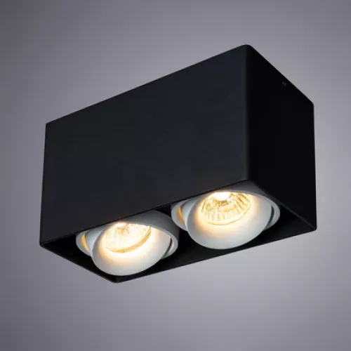 Точечный накладной светильник Arte Lamp PICTOR A5654PL-2BK