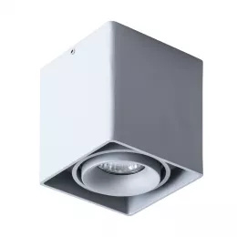 Точечный накладной светильник Arte Lamp PICTOR A5654PL-1GY