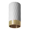 Точечный накладной светильник Arte Lamp FANG A5658PL-1WH